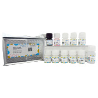 外泌体定量检测试剂盒 (ELISA 夹心法),BioReagent, 无菌,阿拉丁