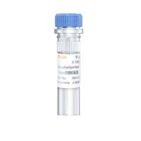 Nanog-Luc荧光素酶报告基因质粒(Nanog luciferase reporter plasmid)