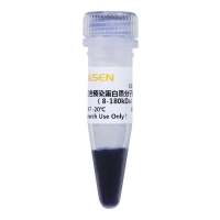 蛋白marker(三色预染蛋白分子量标准8-180kDa)