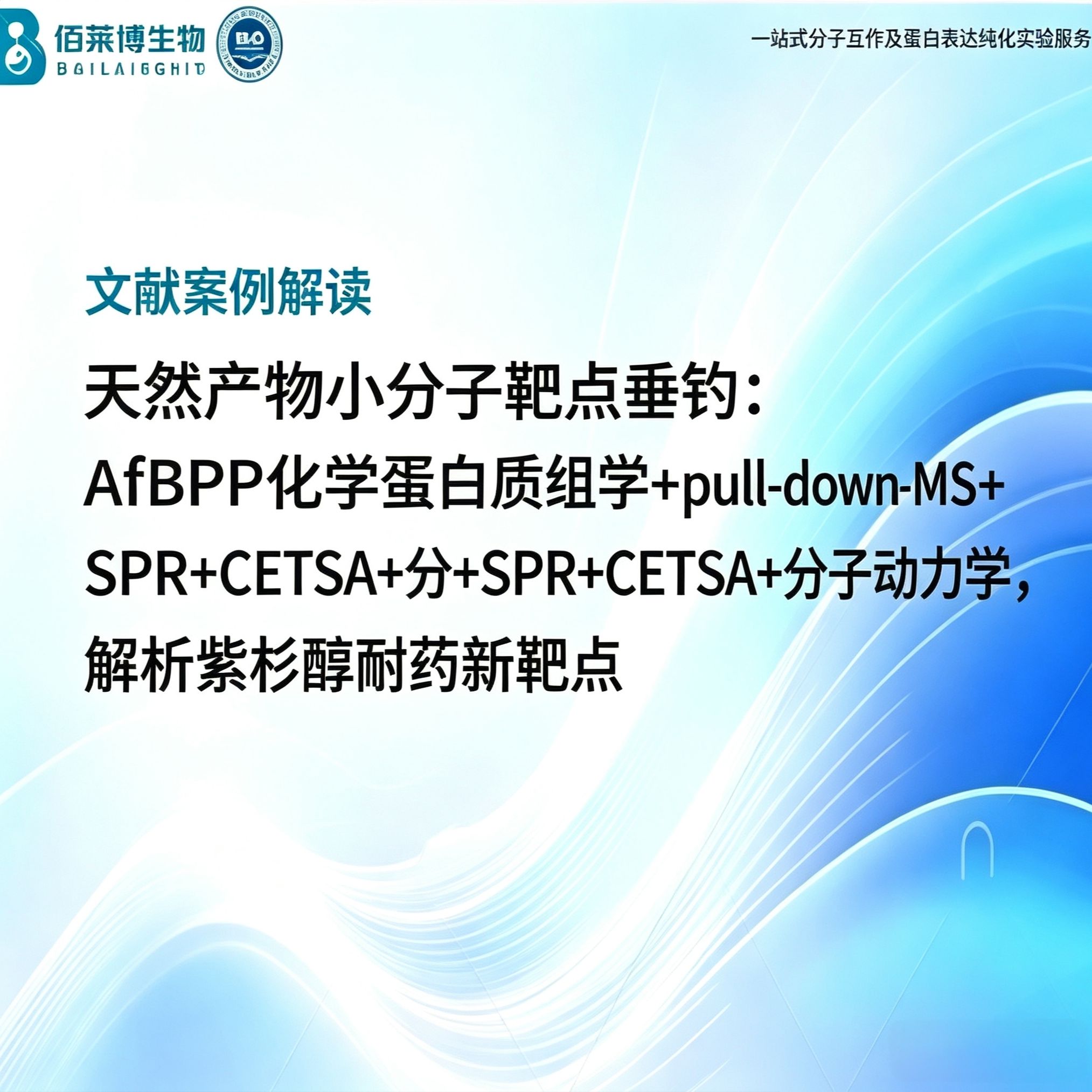 天然产物小分子靶点垂钓:AfBPP化学蛋白质组学+pull-down-MS+SPR+CETSA+分子动力学,解析紫杉醇耐药新靶点