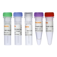 多点突变试剂盒 多点定点突变试剂盒|Hieff Mut™ Multi Site-Directed Mutagenesis Kit