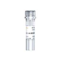 Transferrin Receptor 1 Rabbit mAb 重组兔单抗