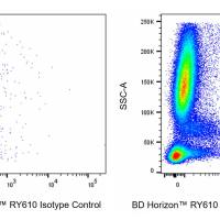 Hu CD123 (IL3RA) RY610 7G3 100Tst