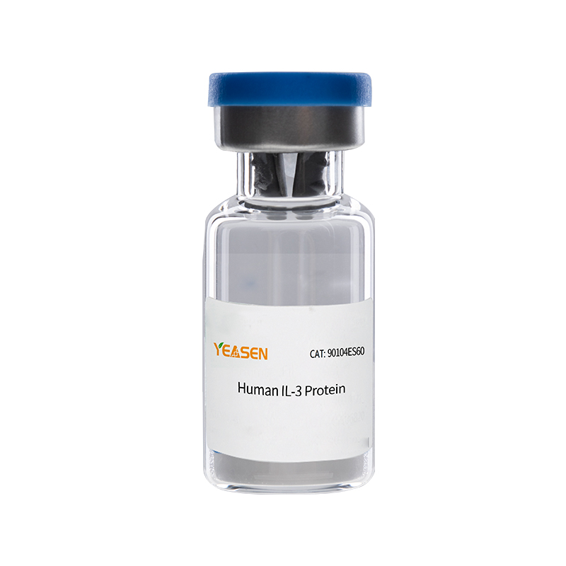 Human IL-3 重组人白细胞介素-3(人白介素-3)产品图