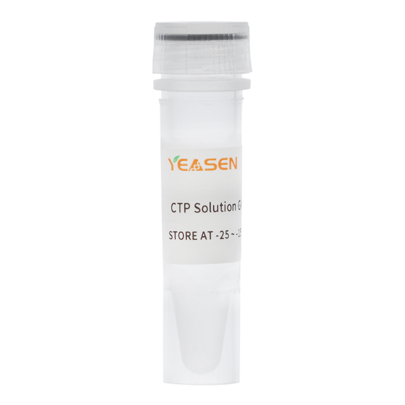 CTP Solution 胞苷三磷酸溶液(100 mM)产品图