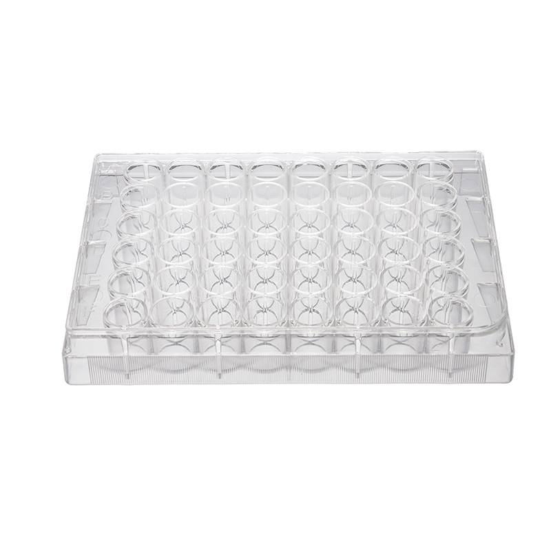 48孔细胞培养板 Cell Culture Plate(细胞培养板)