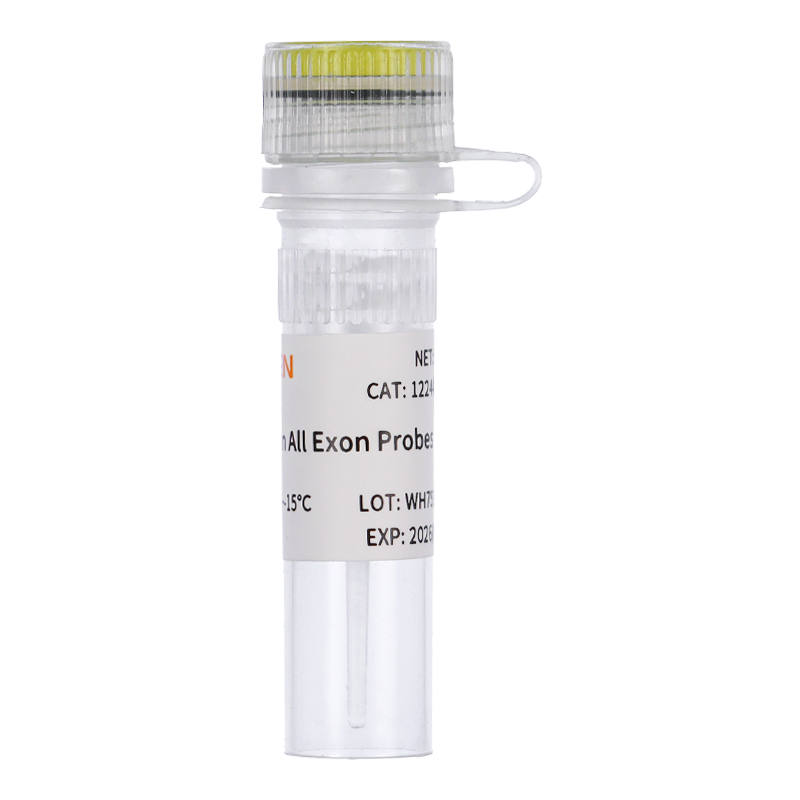 Hieff NGS® Human All Exon Probes 人全外显子探针
