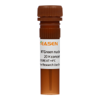RTGreen核酸凝胶染料 20×核酸凝胶染料水溶液