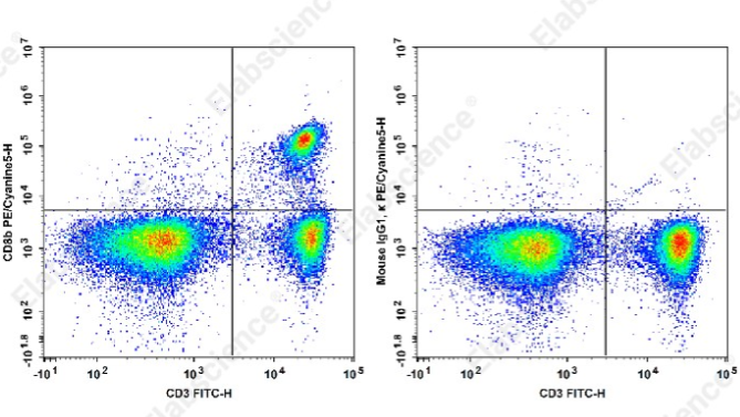 CD8b/Lyt3流式抗体怎么选？341克隆、大鼠反应性与结果图解读