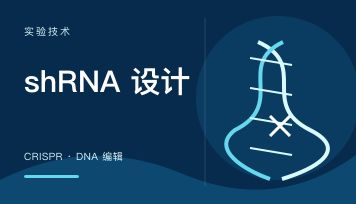 稳定细胞株外包时需要确认哪些交付标准？