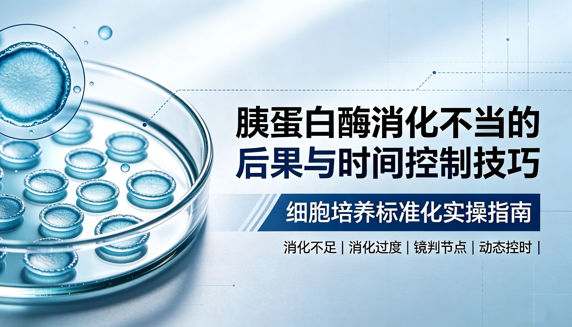 细胞成团、飘死、贴壁差？一文吃透胰酶消化控时