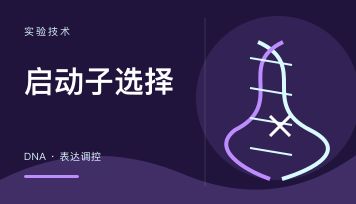 选择AAV包装公司应该看哪些质量指标？