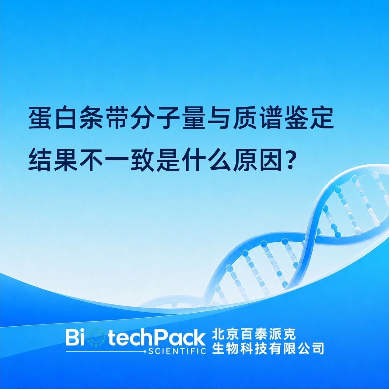 蛋白条带分子量与质谱鉴定结果不一致是什么原因?