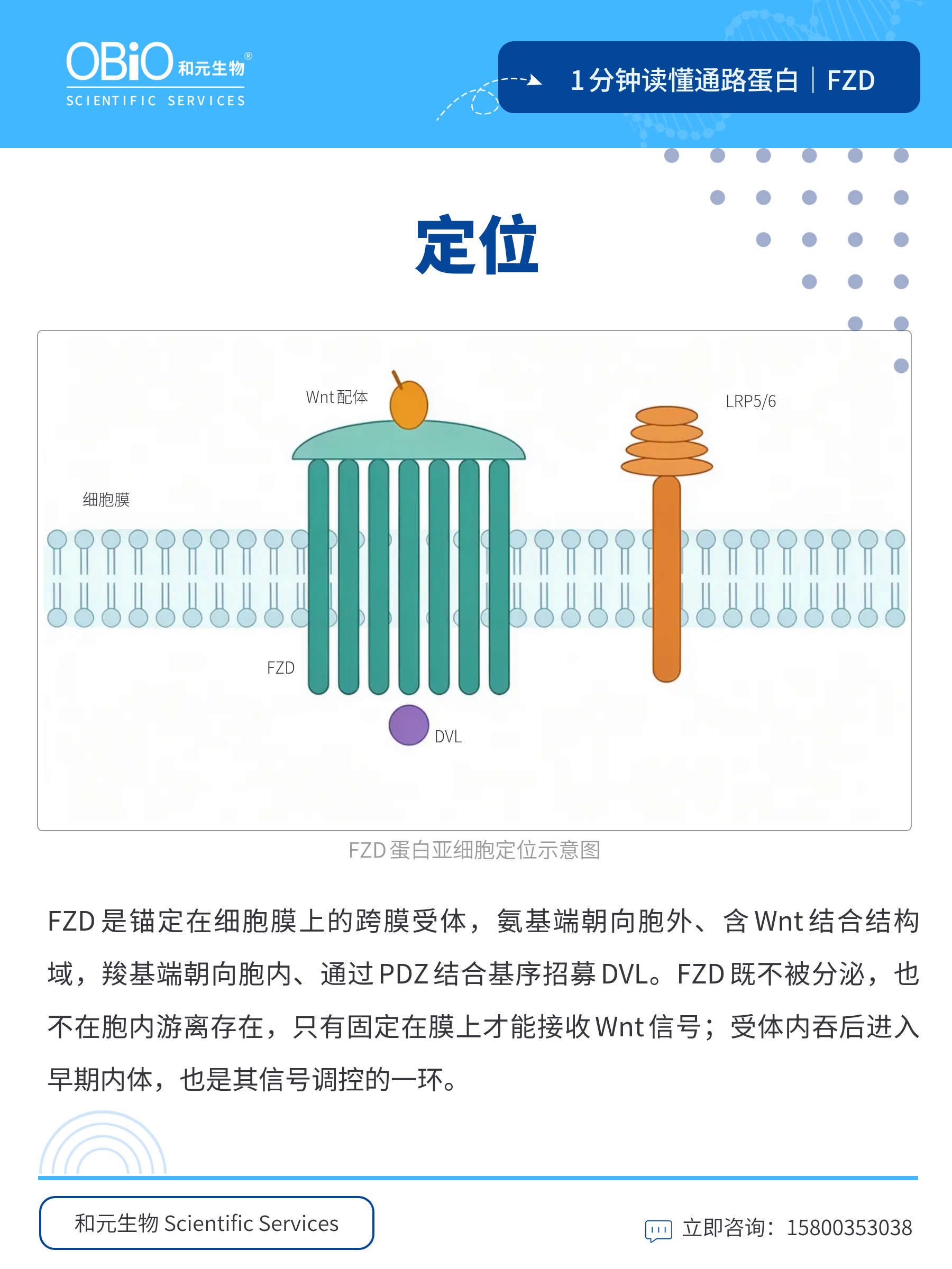 新闻图片2