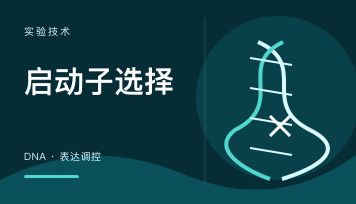 病毒包装周期由哪些环节决定？