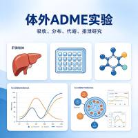 体外ADME实验