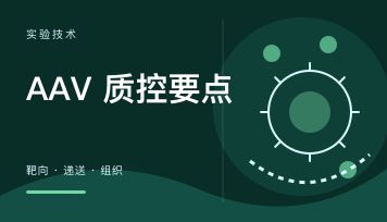科研级病毒和更高等级病毒怎么选？