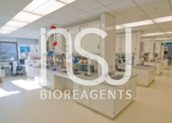 NSJ Bioreagents国内代理商是谁？公司主要是做什么产品的？