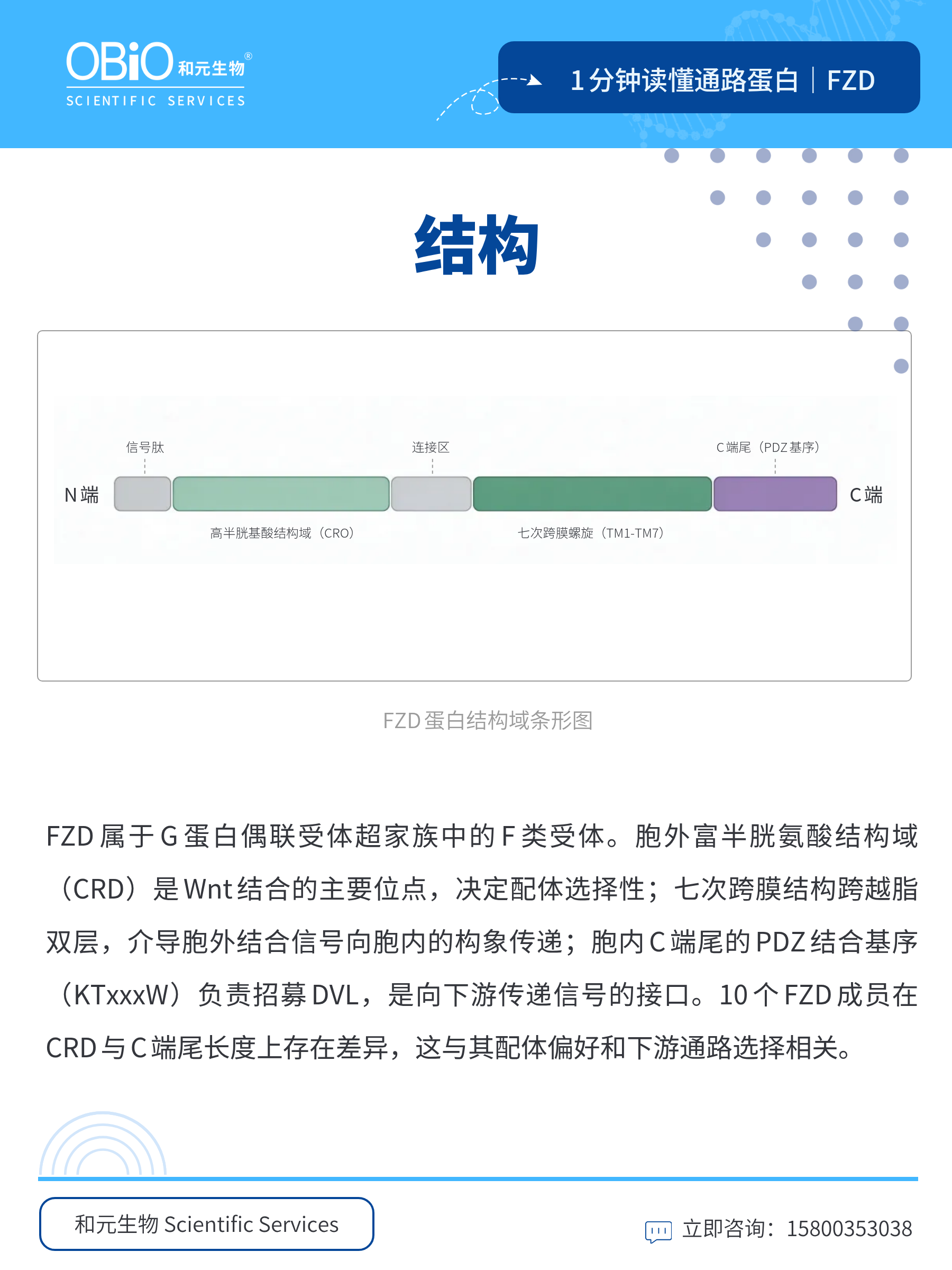新闻图片3