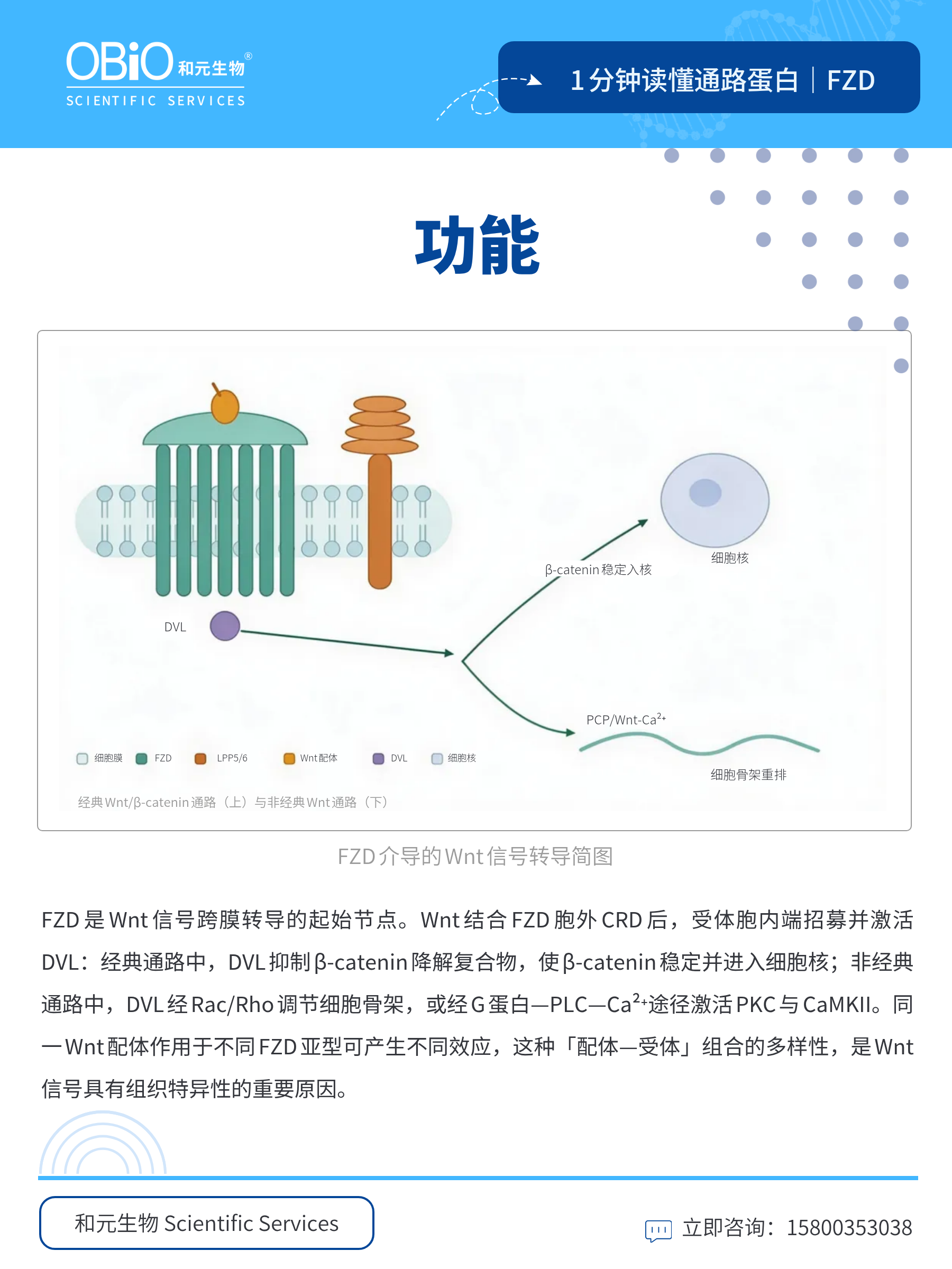 新闻图片4
