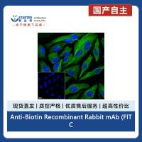Anti-Biotin Recombinant Rabbit mAb (FITC Conjugate) (S-3083)