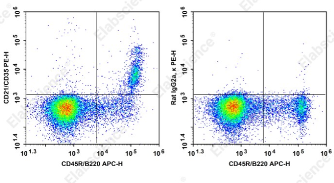 小鼠CD21/CD35流式抗体选型：PE标记[7E9]克隆与同型对照信息