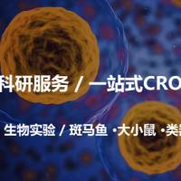 一站式科研CRO服务/ 基于斑马鱼-大小鼠-类器官-细胞的科研服务