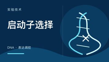同一个项目先做预实验还是直接定制大规格病毒？