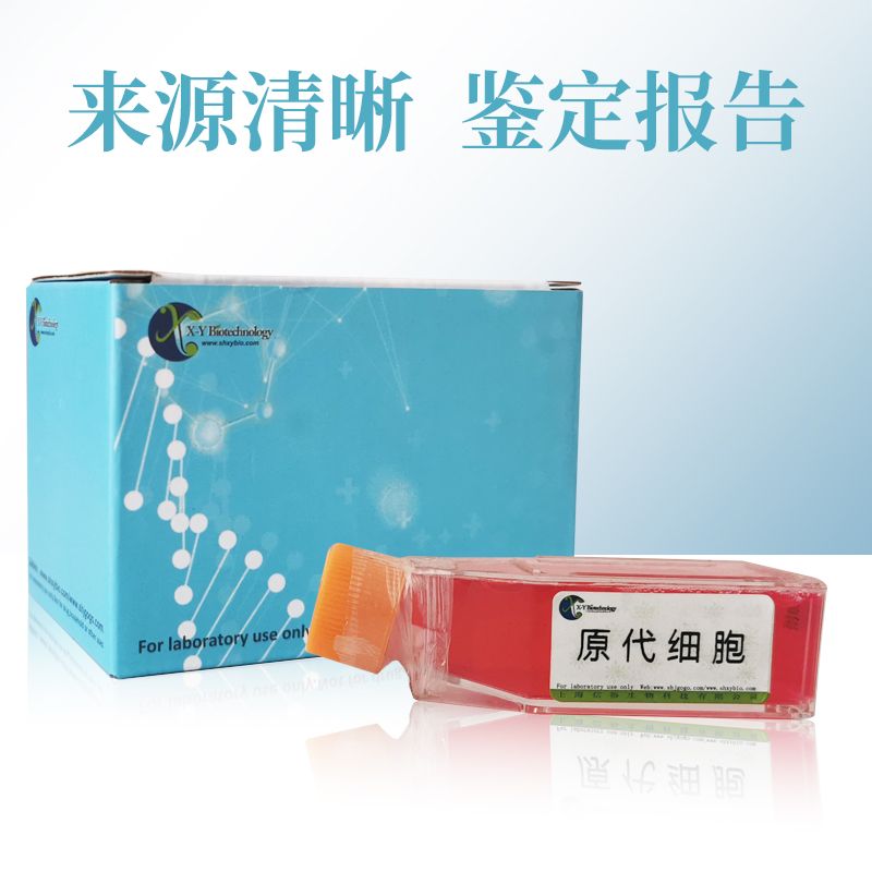 大鼠脂肪间充质干细胞永生化产品图