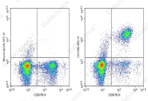 纯化抗人CD158b抗体[E29467R]：Protein A/G纯化信息与FCM应用参数一览