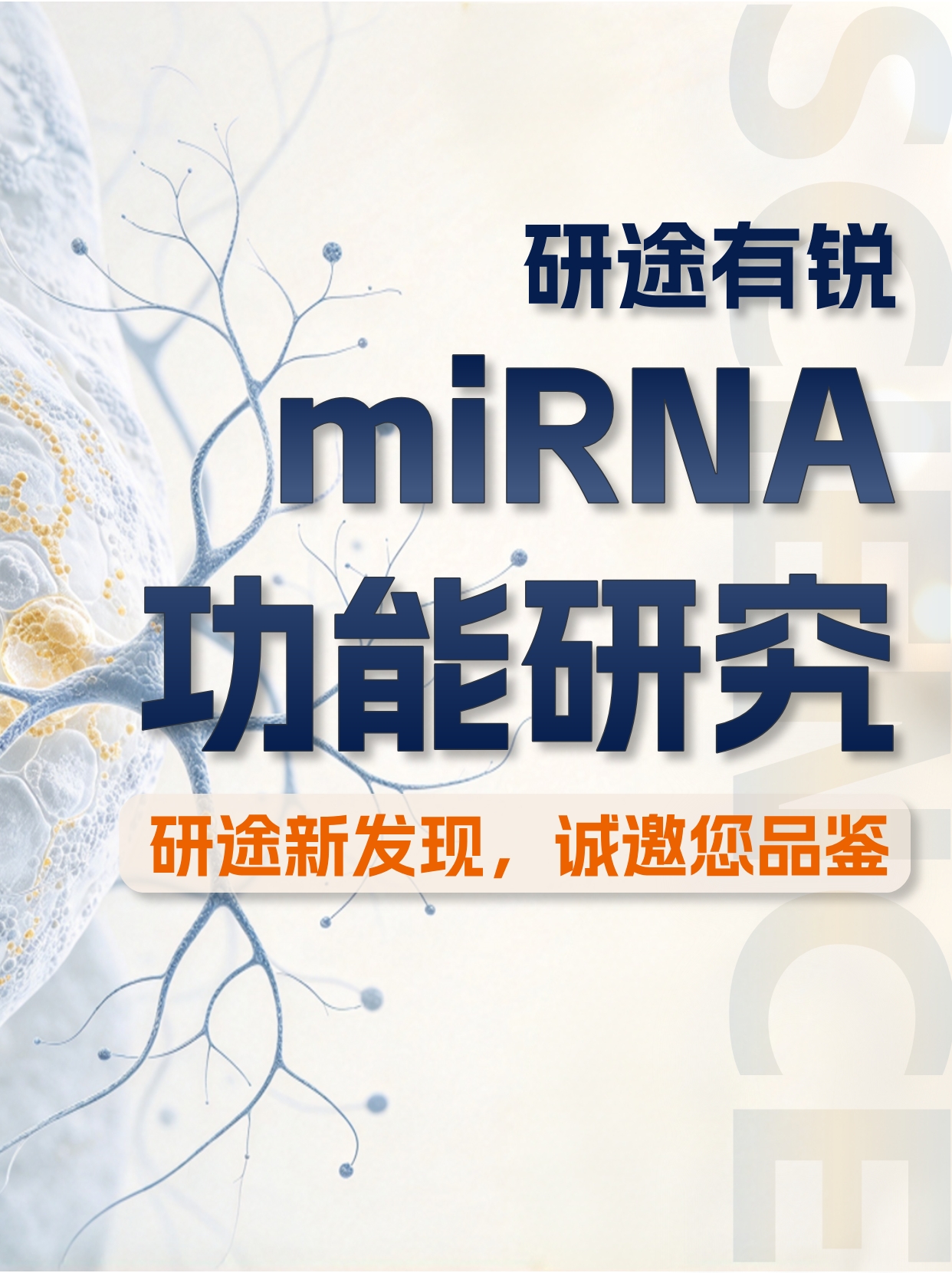 研途有锐 | miRNA系列（2026.9）