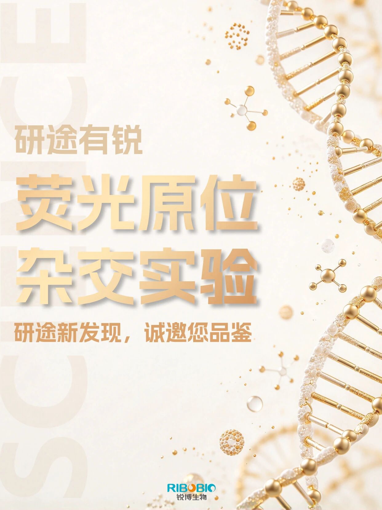 研途有锐|FISH系列（2026.8-2026.9）