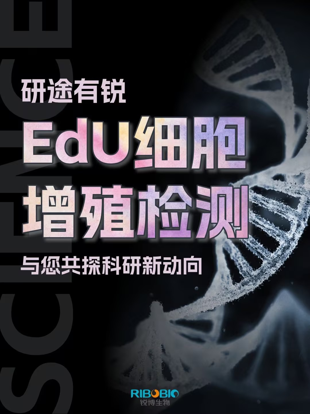 研途有锐|EdU系列产品（2026.9）