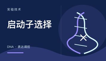 客户文献能否作为选择病毒供应商的参考？