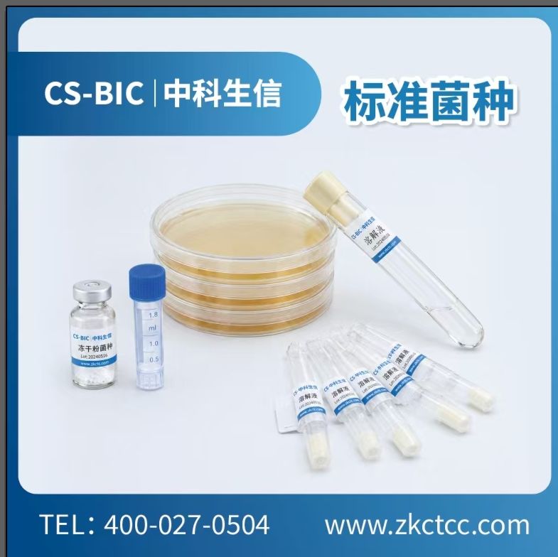 紫色小单孢菌(绛红小单孢菌)产品图