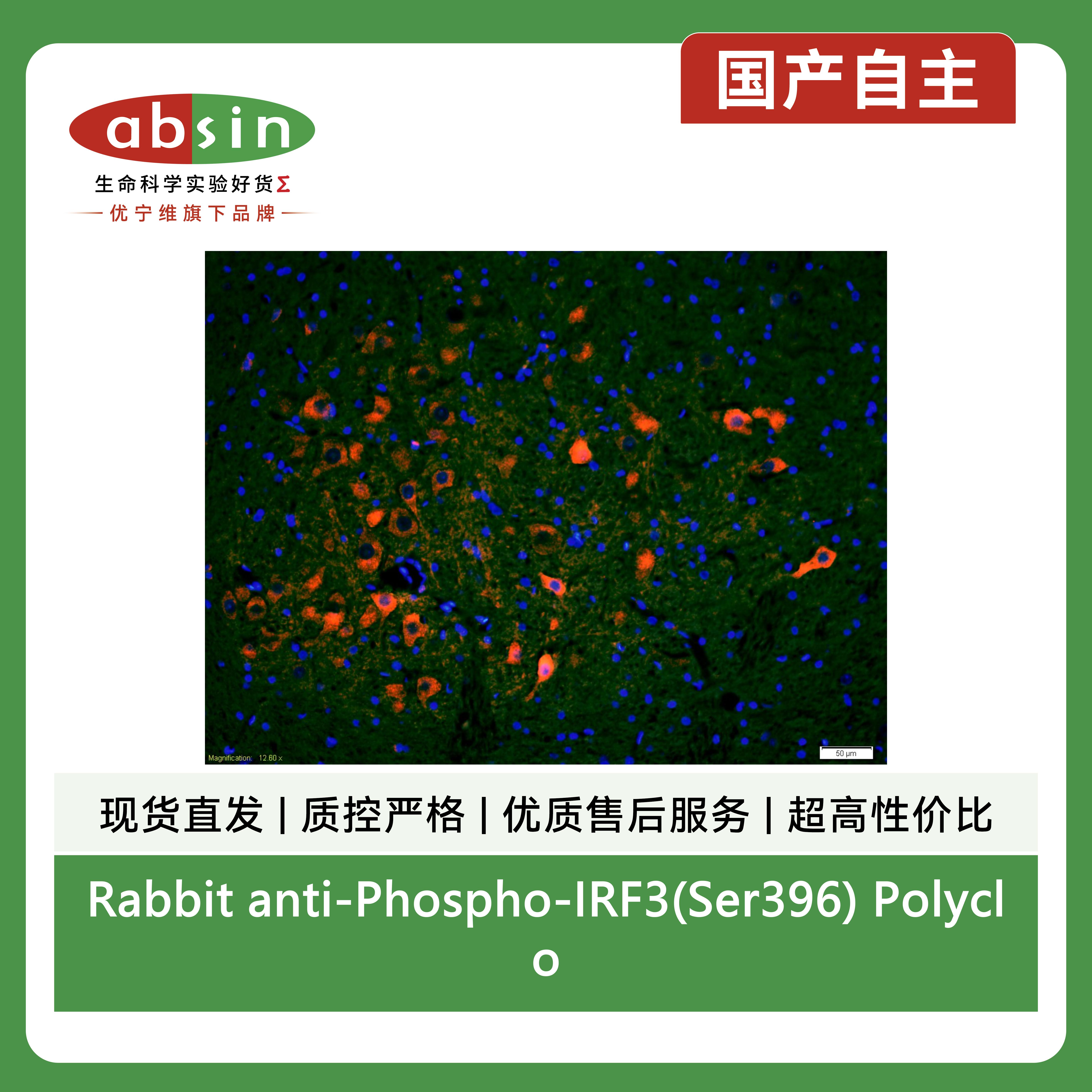 产品细节图片5