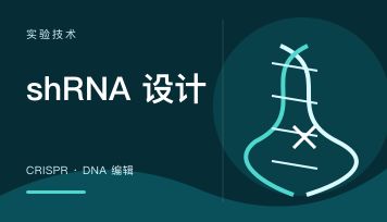 吉凯基因能做哪些稳定细胞株？