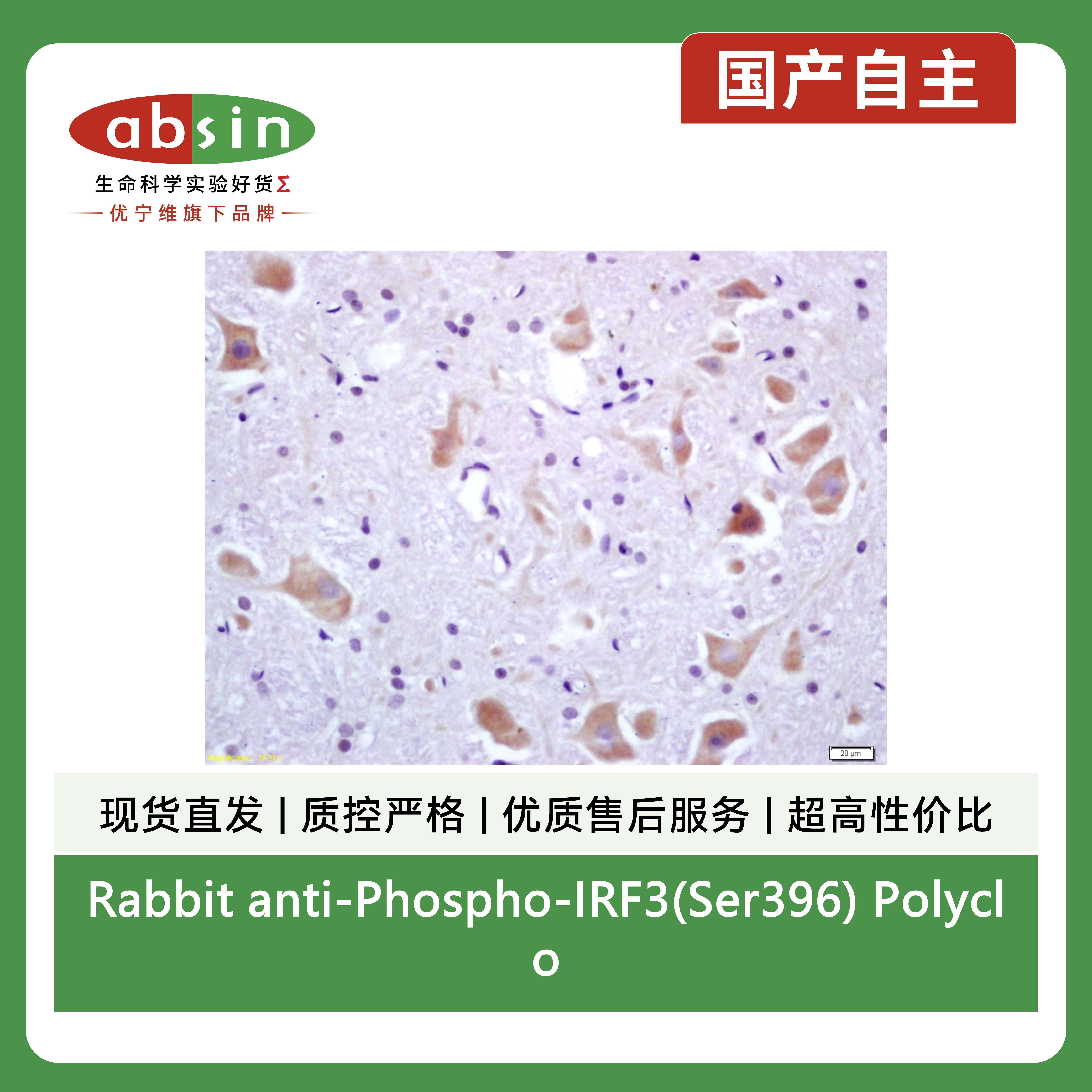 产品细节图片2
