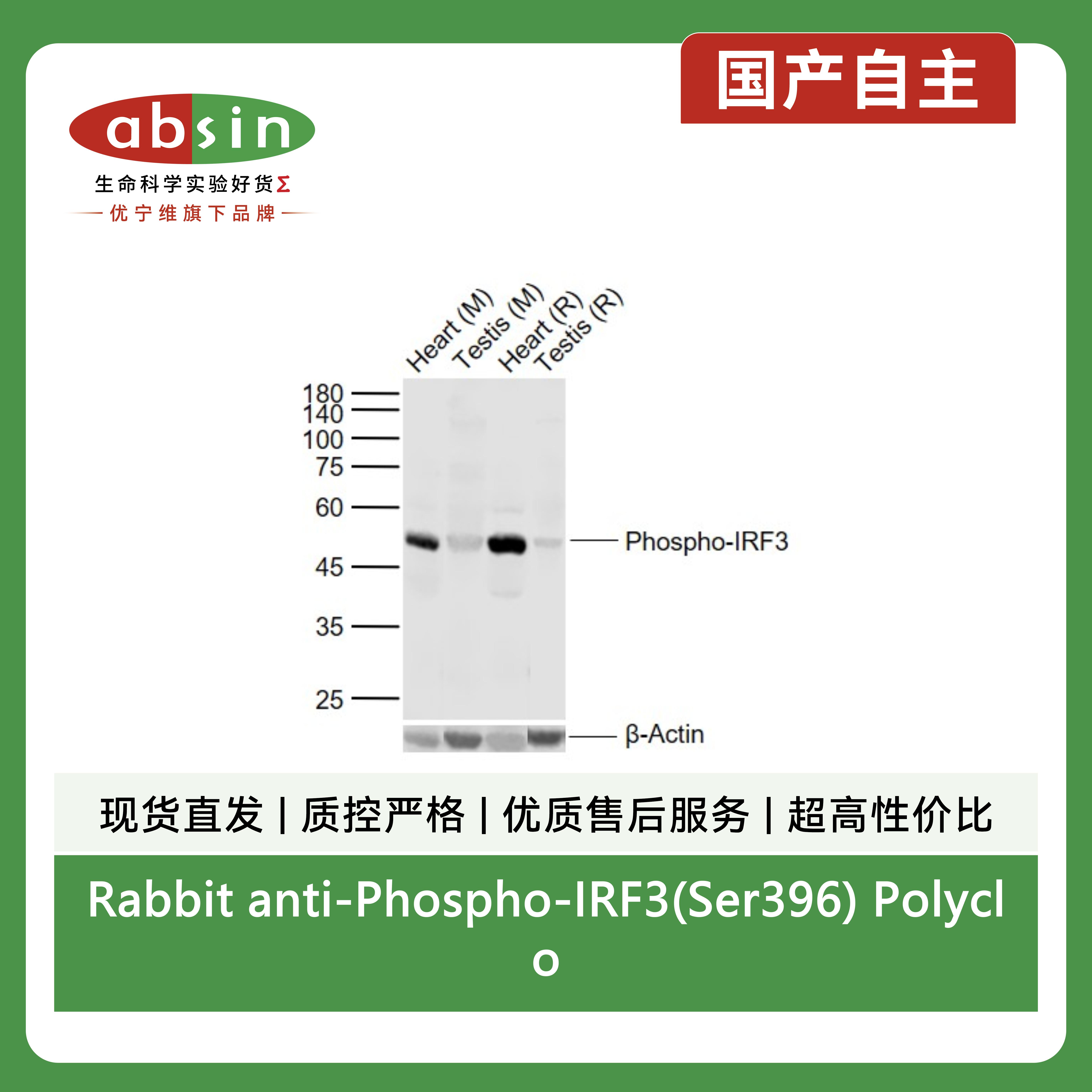 产品细节图片3