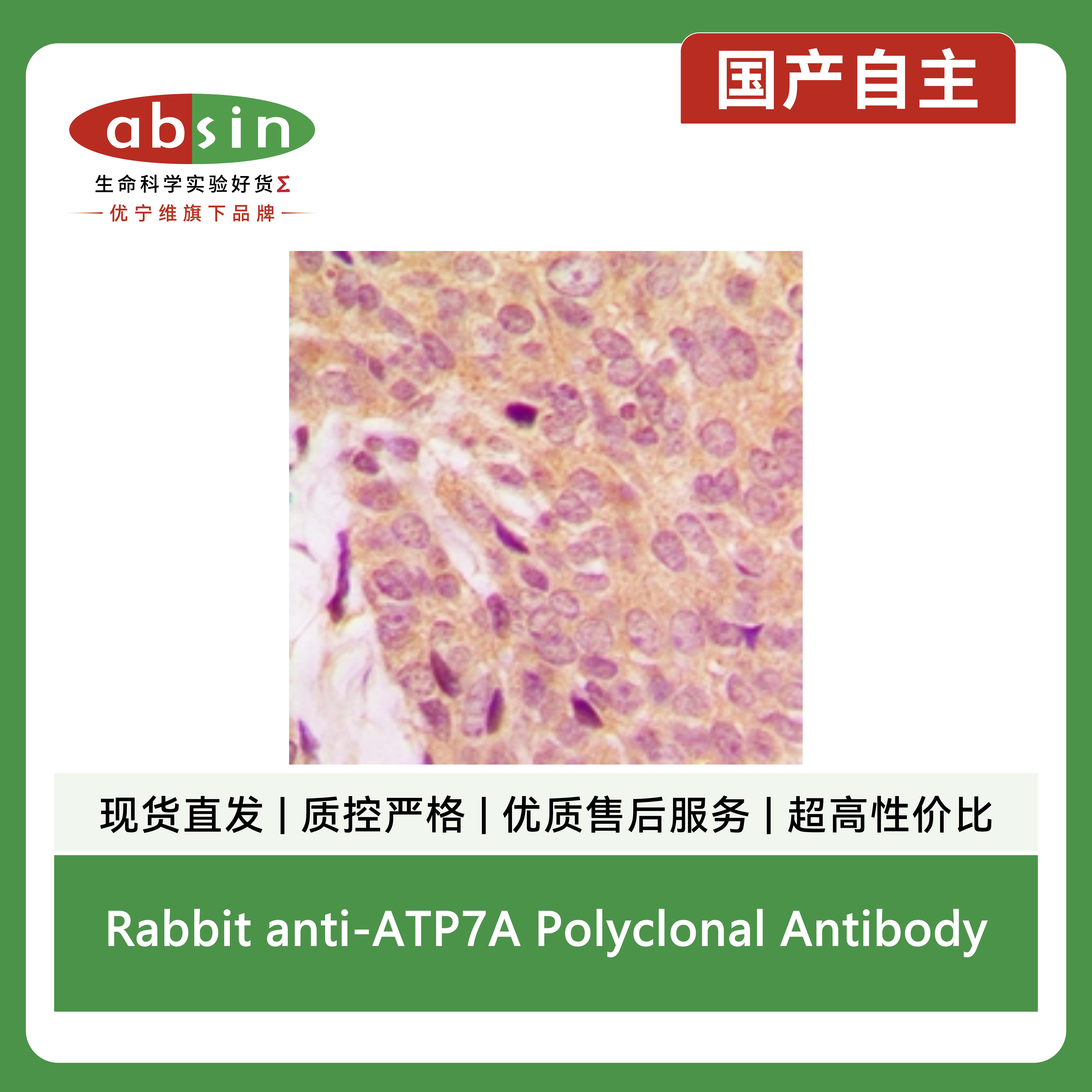 产品细节图片2
