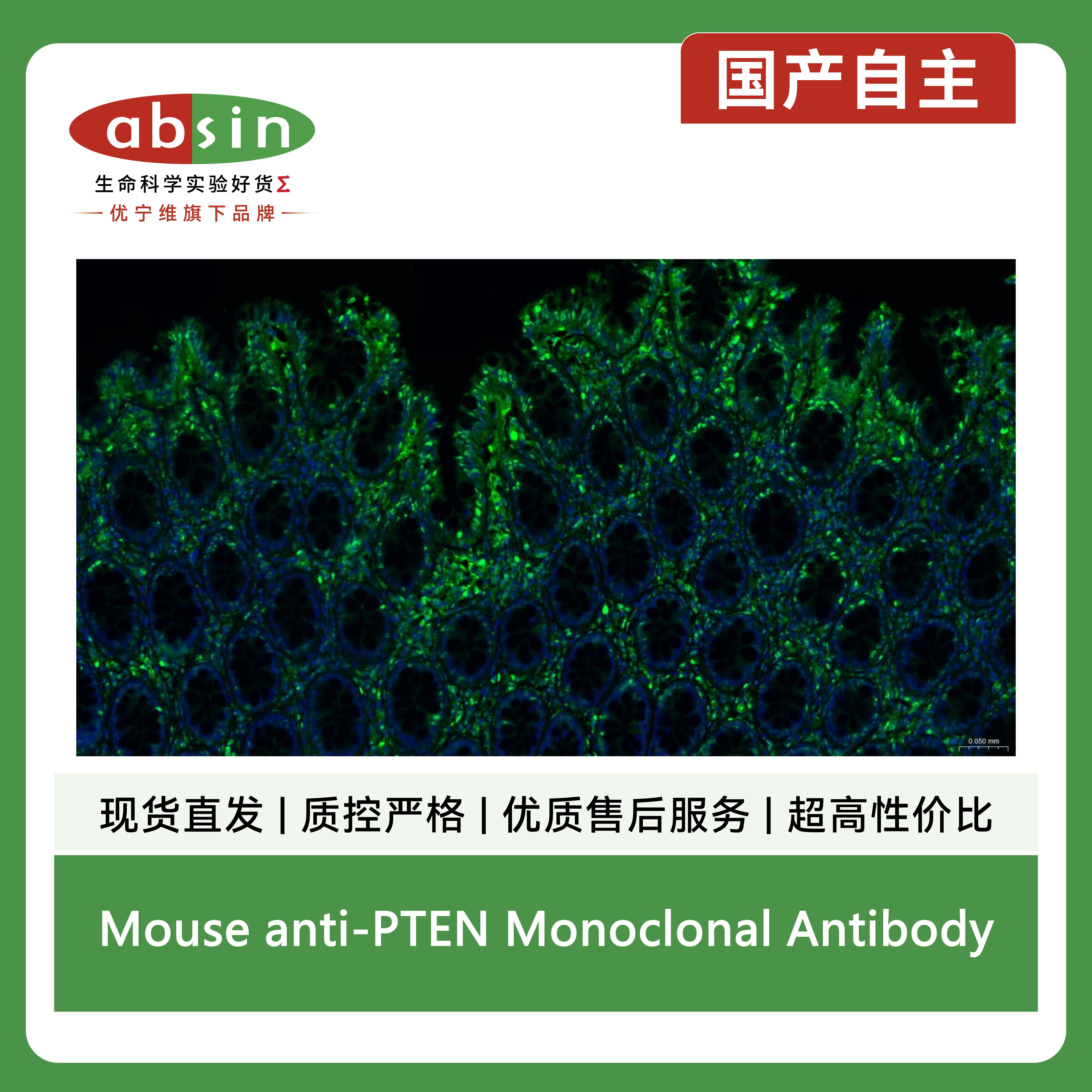 产品细节图片7