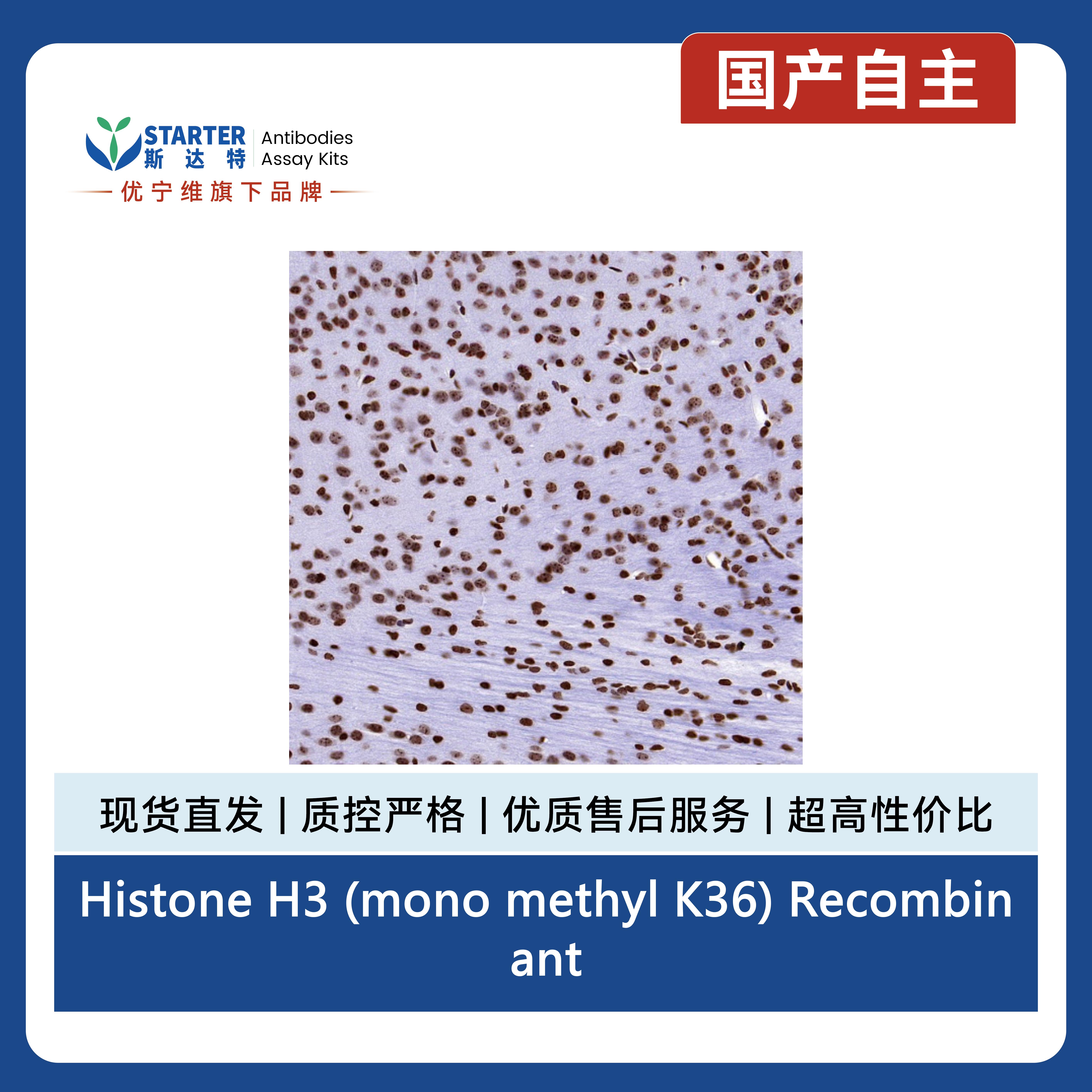 产品细节图片8