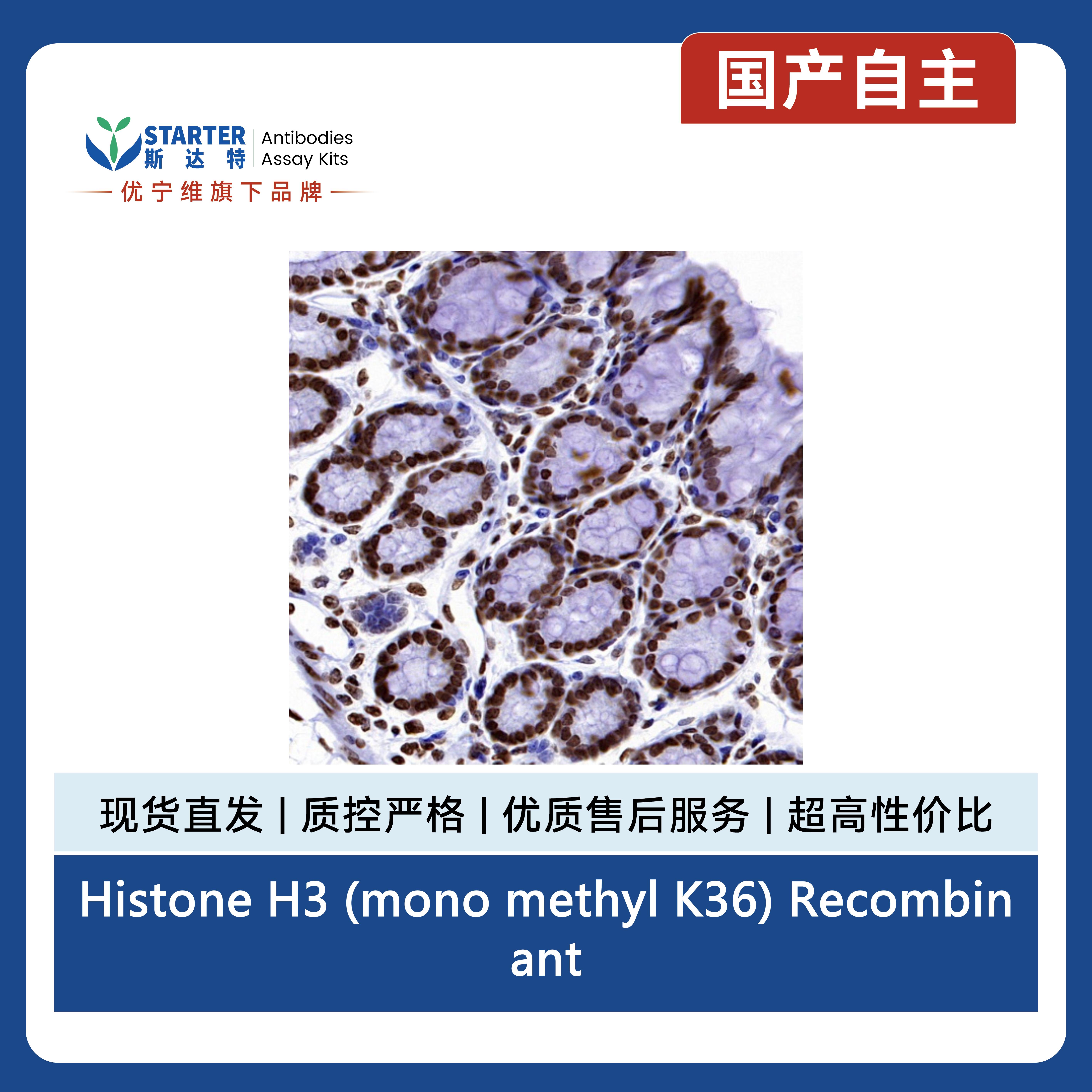 产品细节图片9