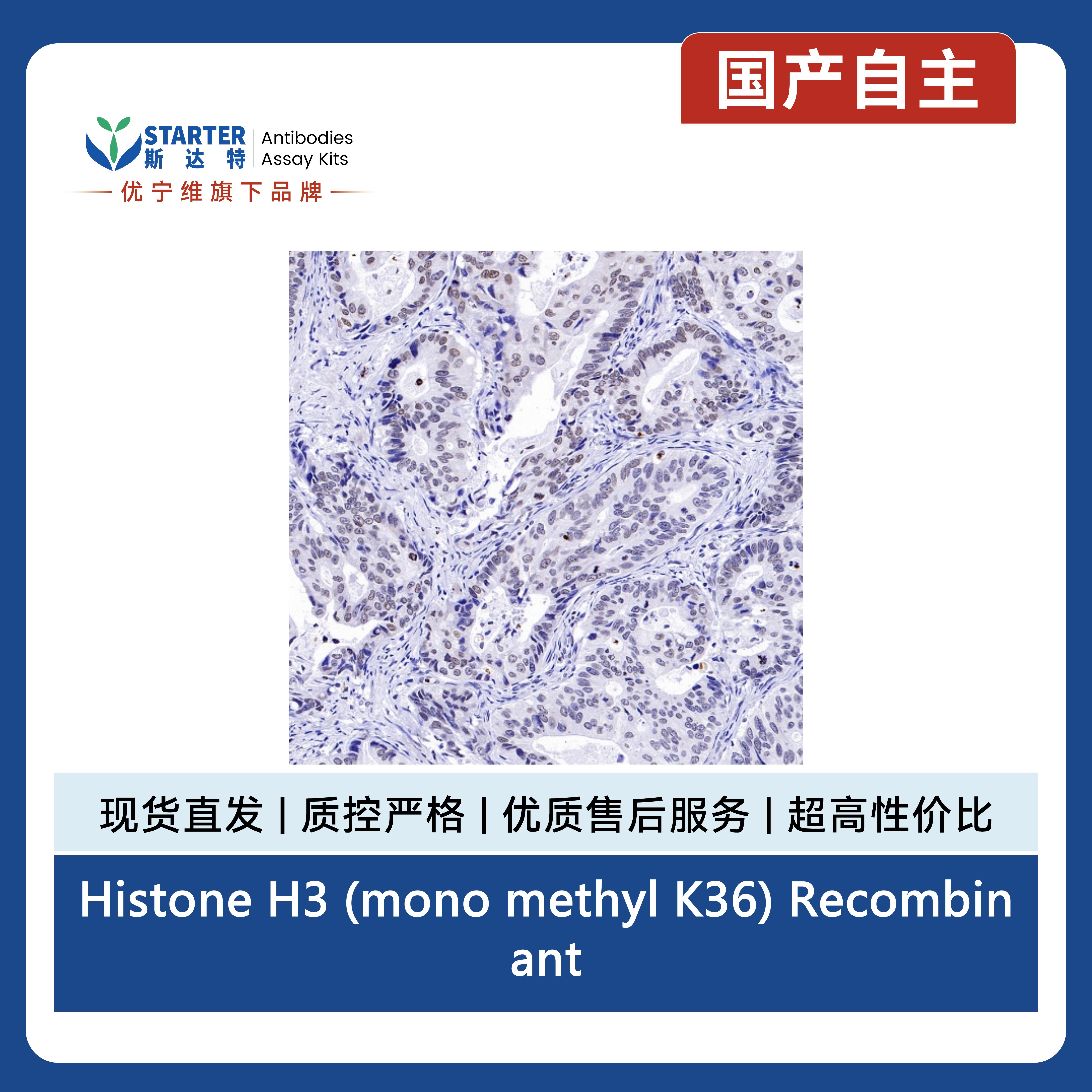产品细节图片7