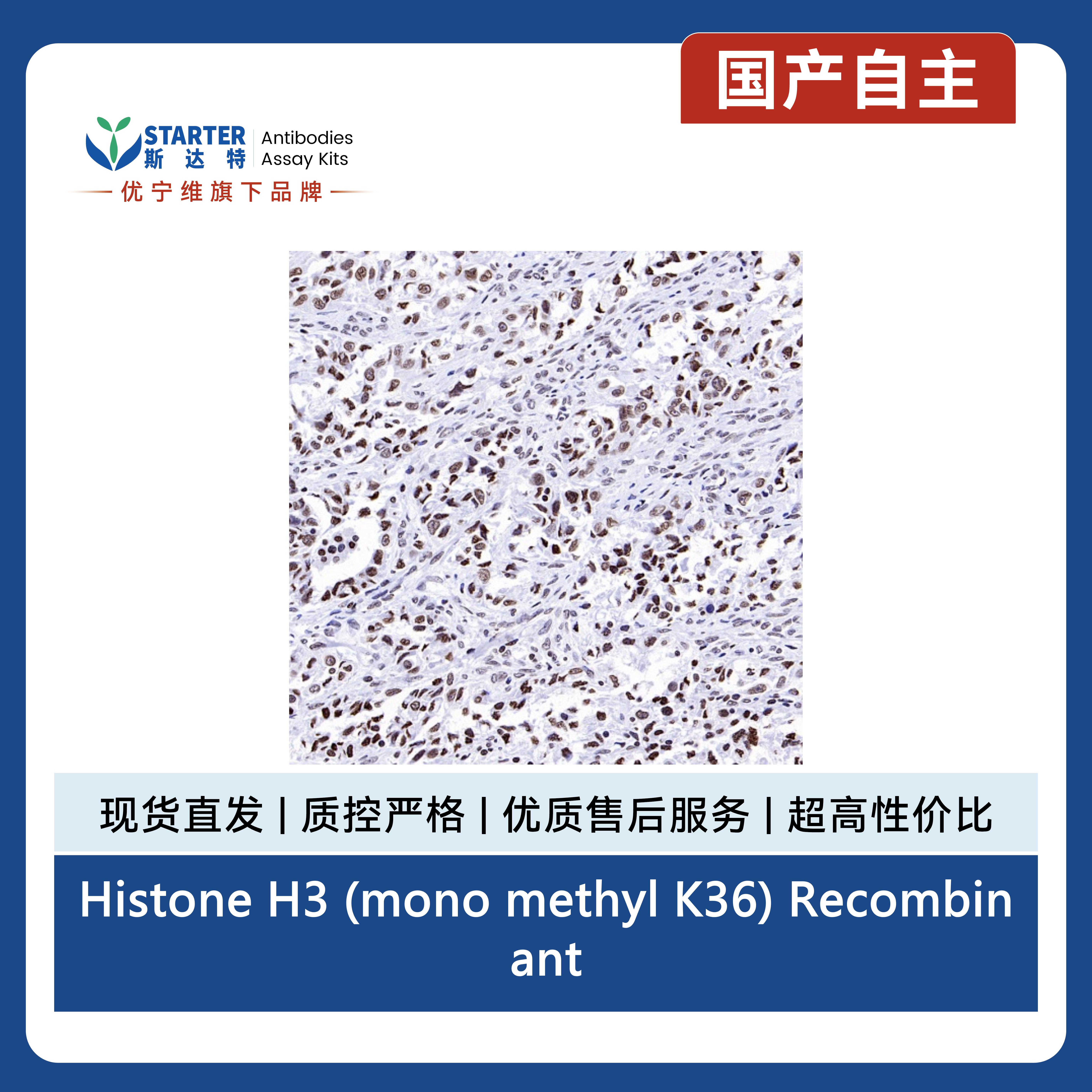 产品细节图片6