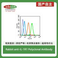 Rabbit anti-IL-1R1 Polyclonal Antibody
