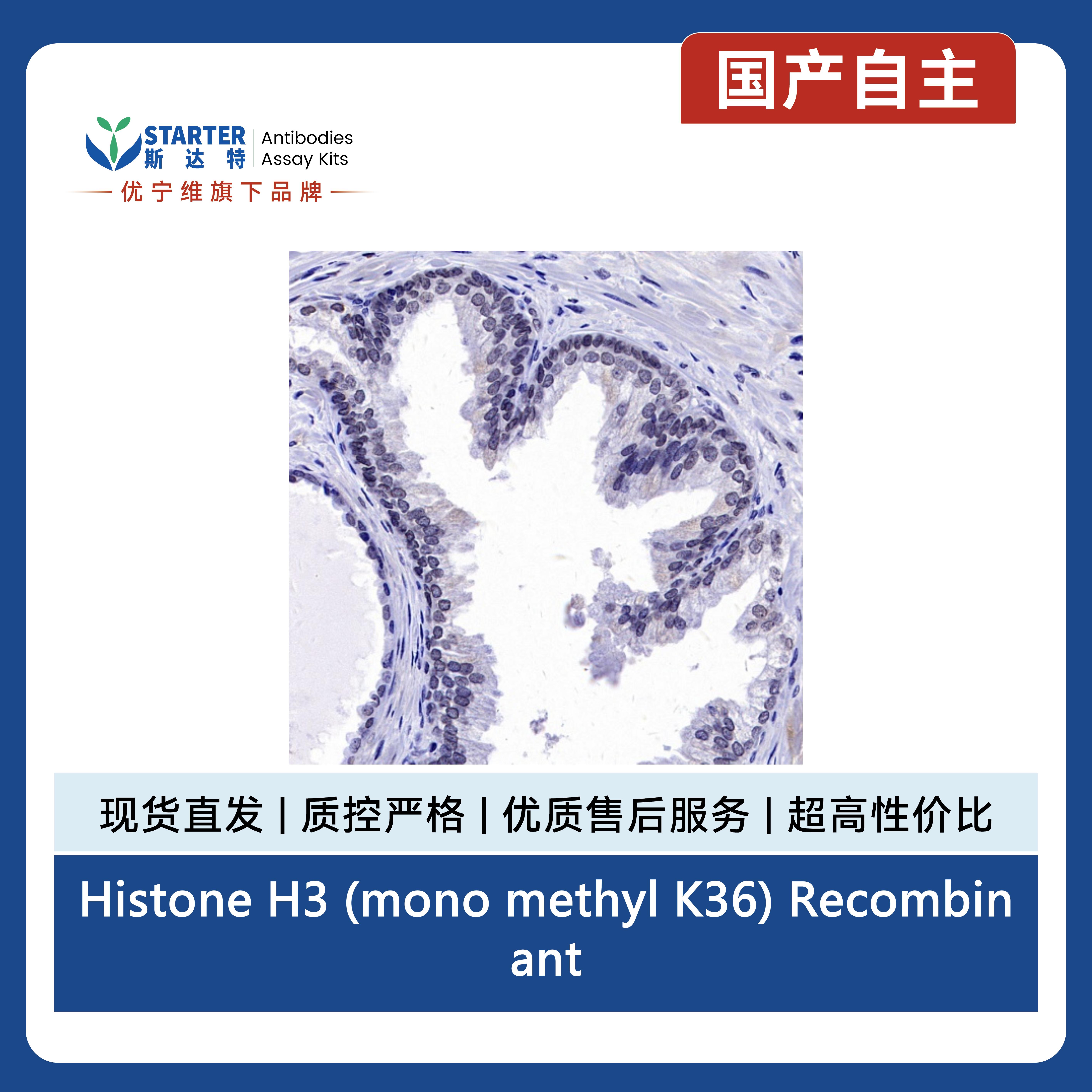 产品细节图片5