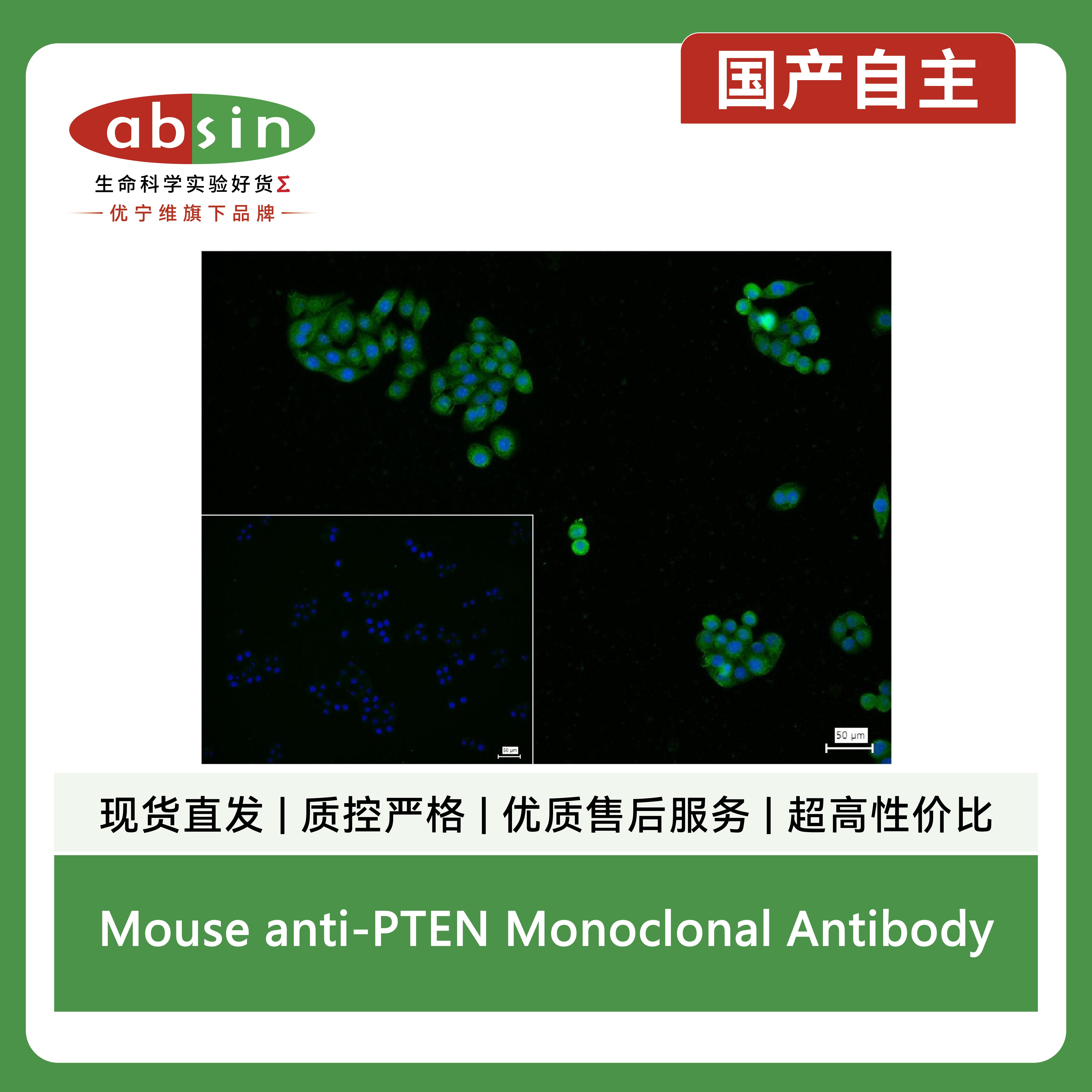 产品细节图片12