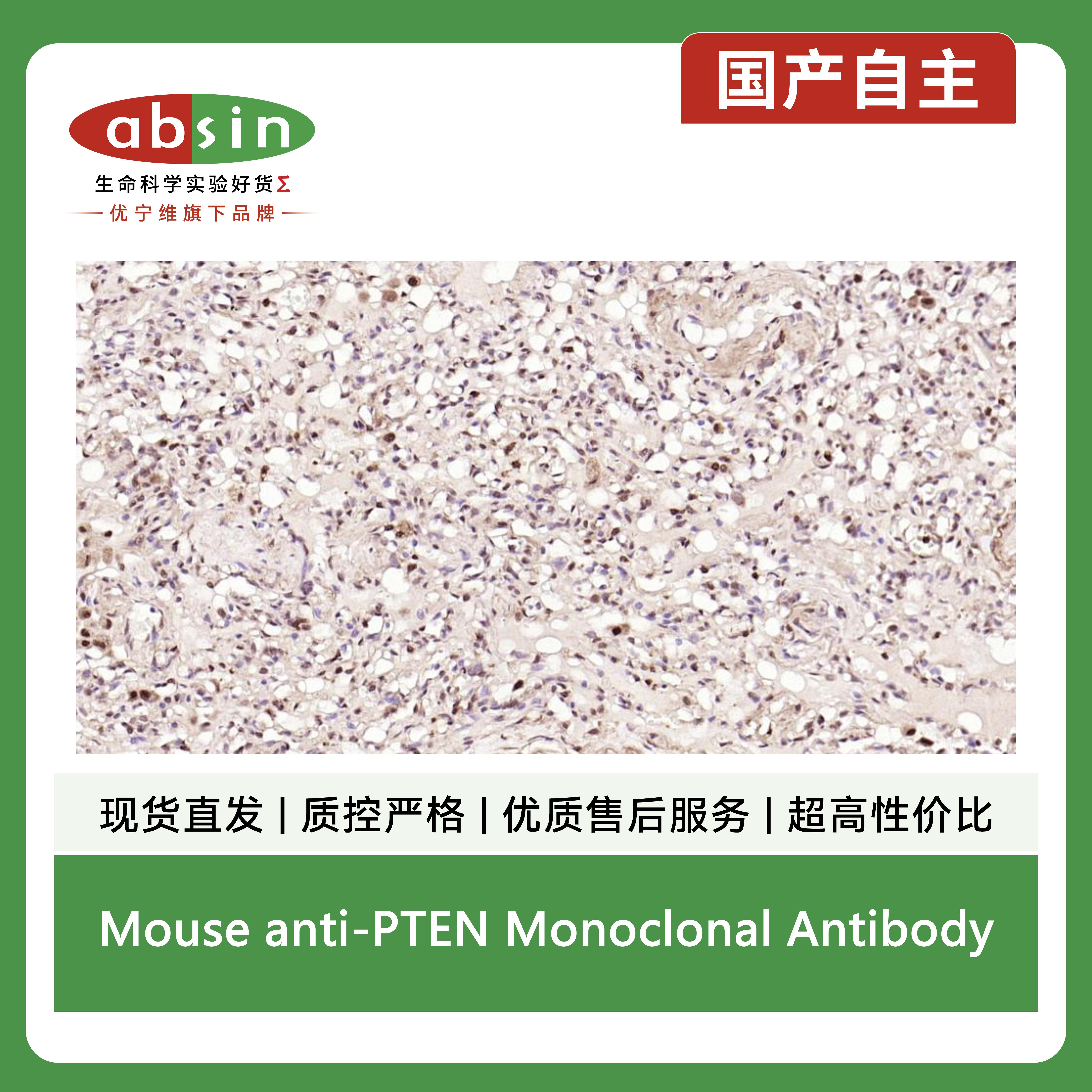 产品细节图片11