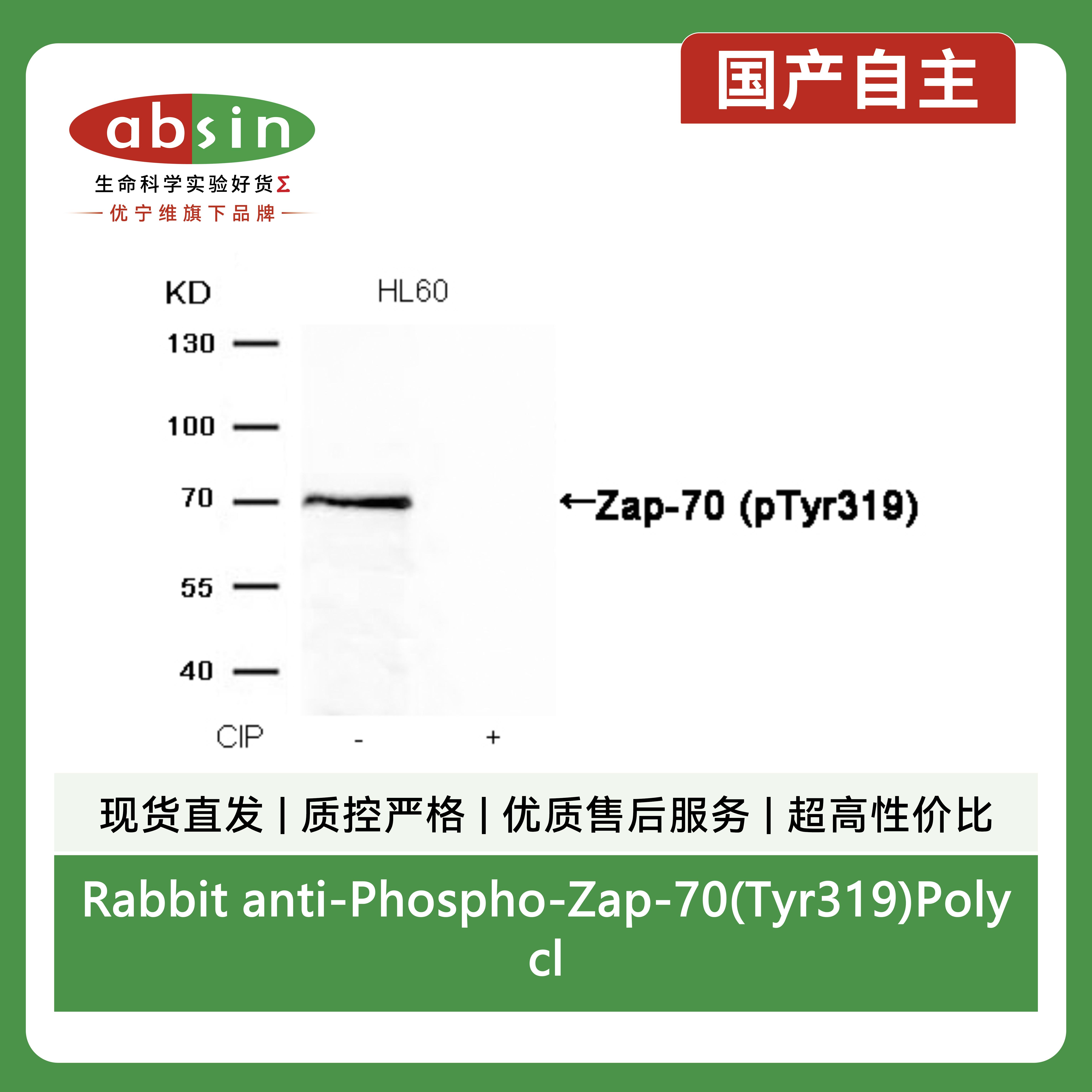 产品细节图片3